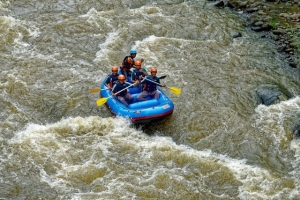Conquering the Rapids: A Beginner's Guide to Whitewater Rafting